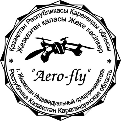 ИП 2
